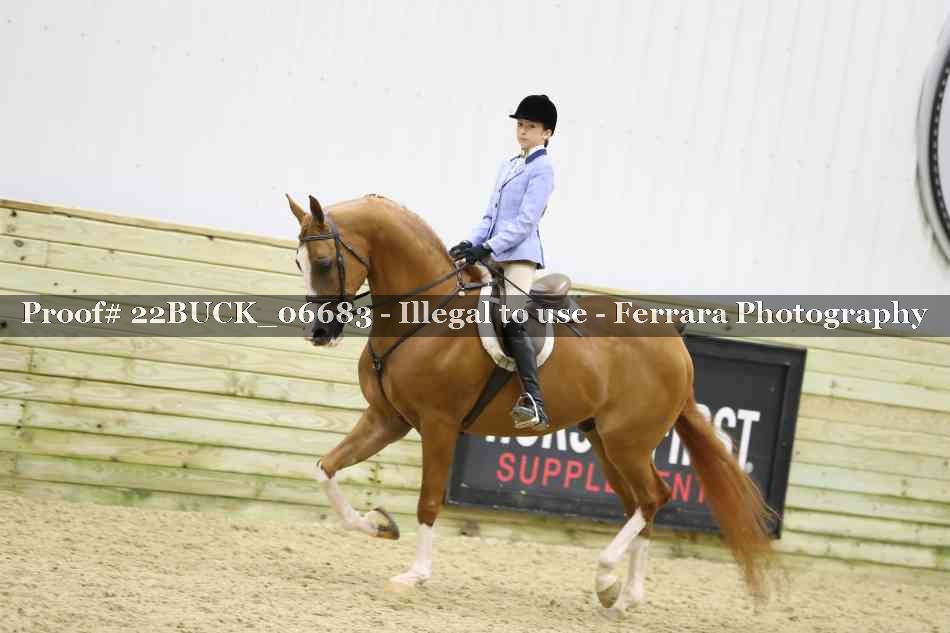 Proof 22BUCK_06683