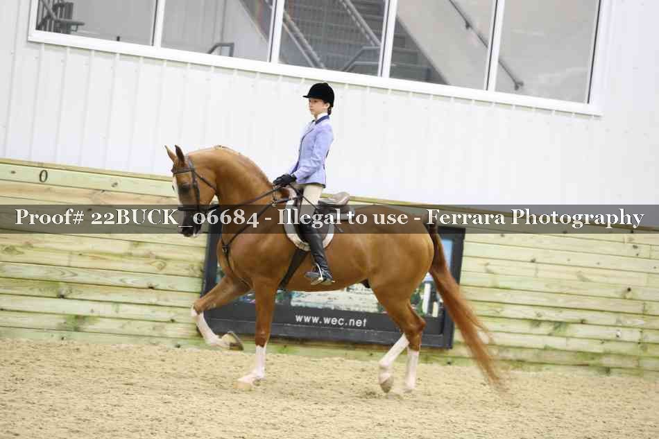 Proof 22BUCK_06684