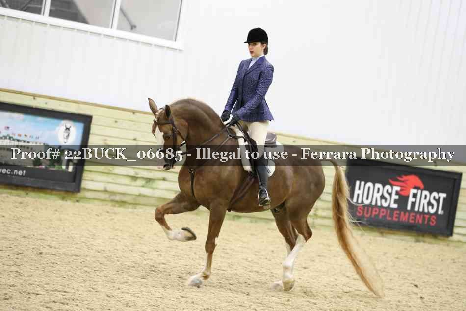 Proof 22BUCK_06685
