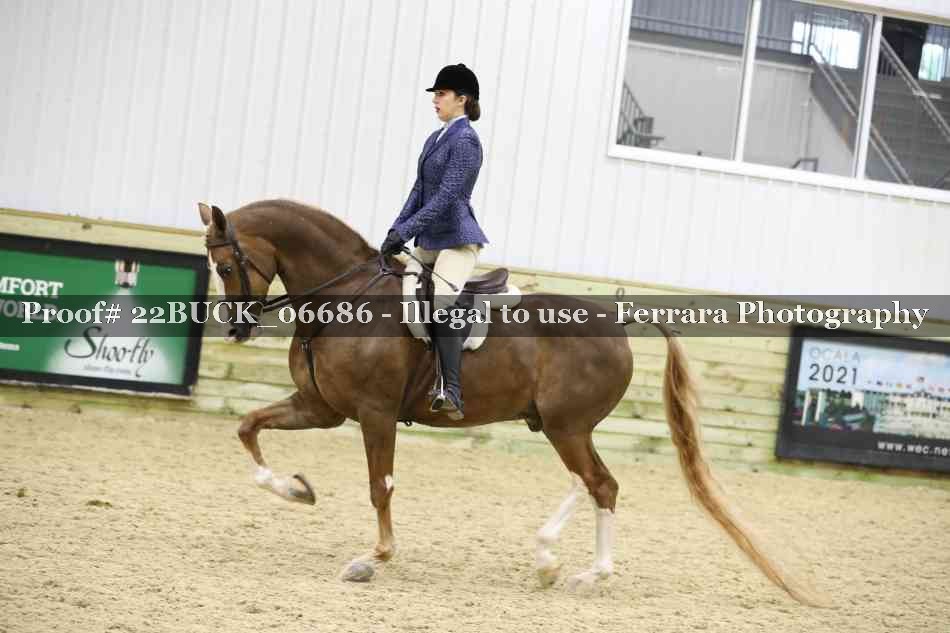 Proof 22BUCK_06686