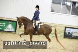 22BUCK_06686 proof