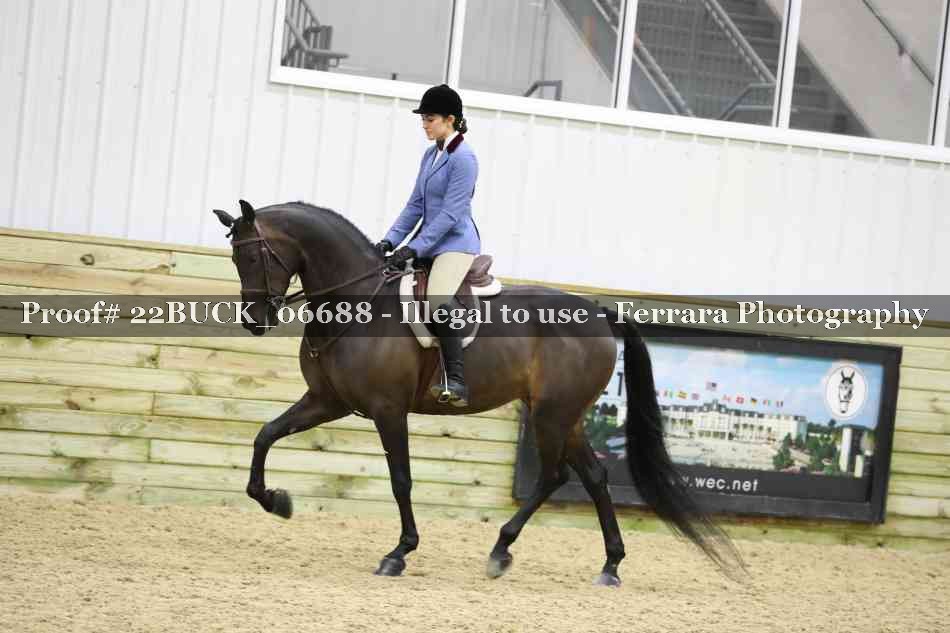 Proof 22BUCK_06688