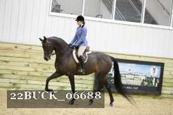22BUCK_06688 proof