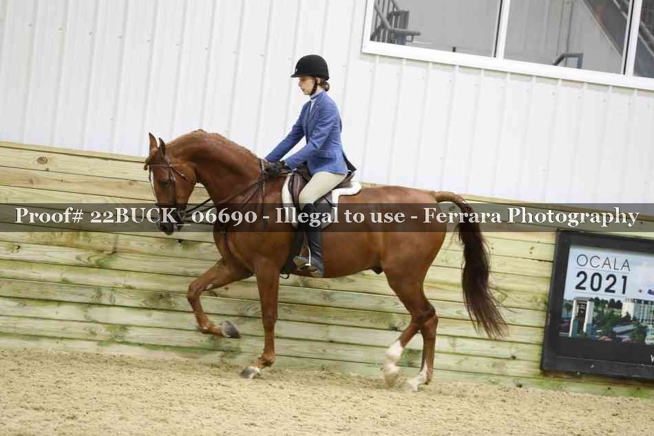 Proof 22BUCK_06690