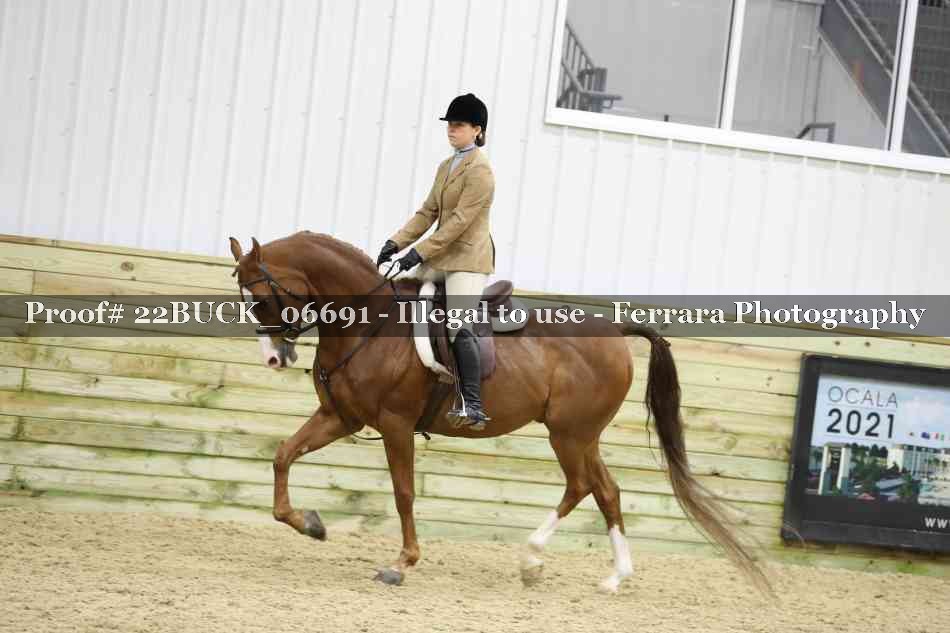 Proof 22BUCK_06691