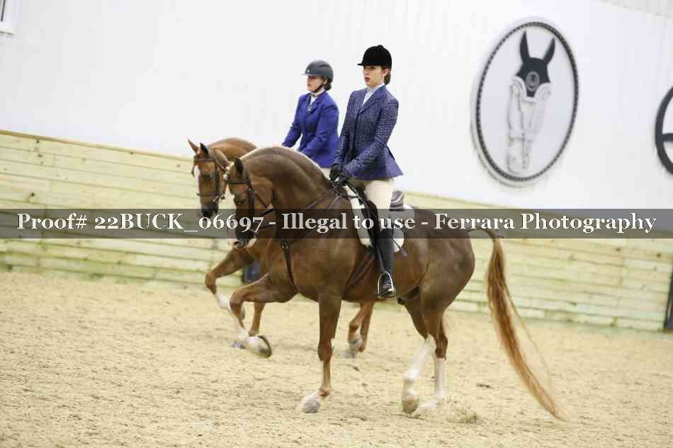 Proof 22BUCK_06697