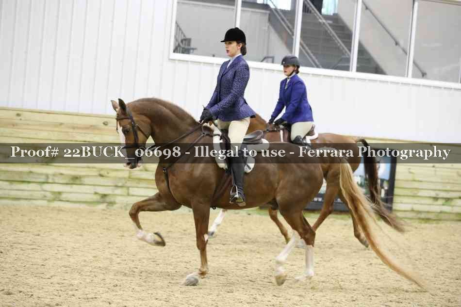 Proof 22BUCK_06698