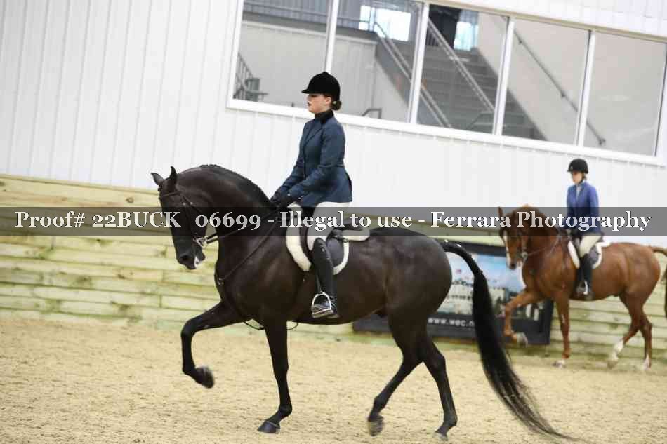 Proof 22BUCK_06699