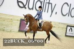 22BUCK_06700 proof
