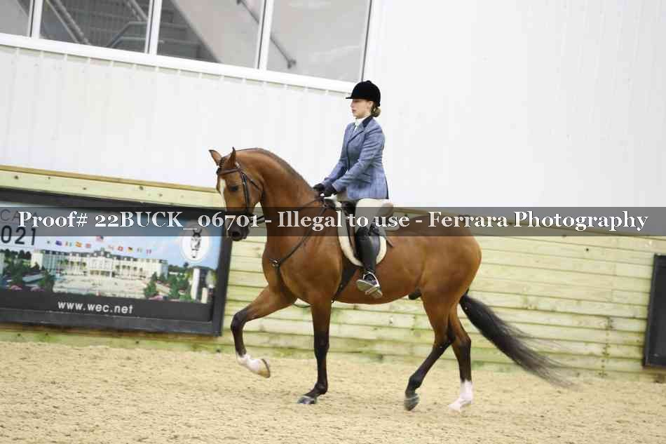 Proof 22BUCK_06701