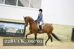 22BUCK_06701 proof
