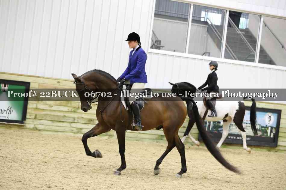 Proof 22BUCK_06702