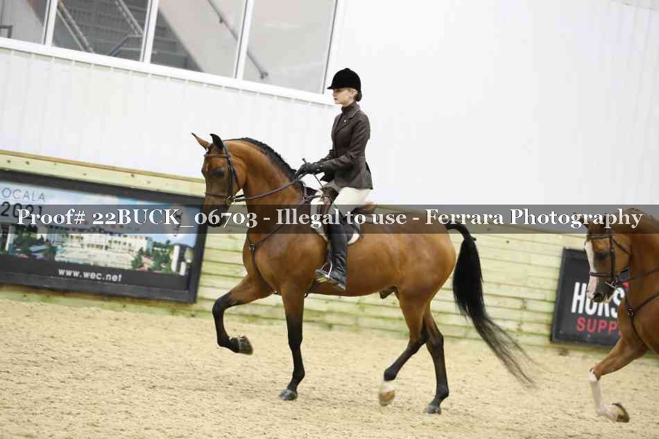 Proof 22BUCK_06703