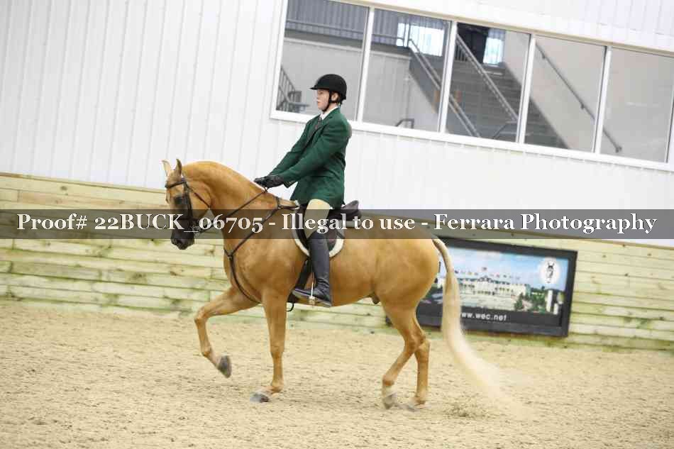 Proof 22BUCK_06705