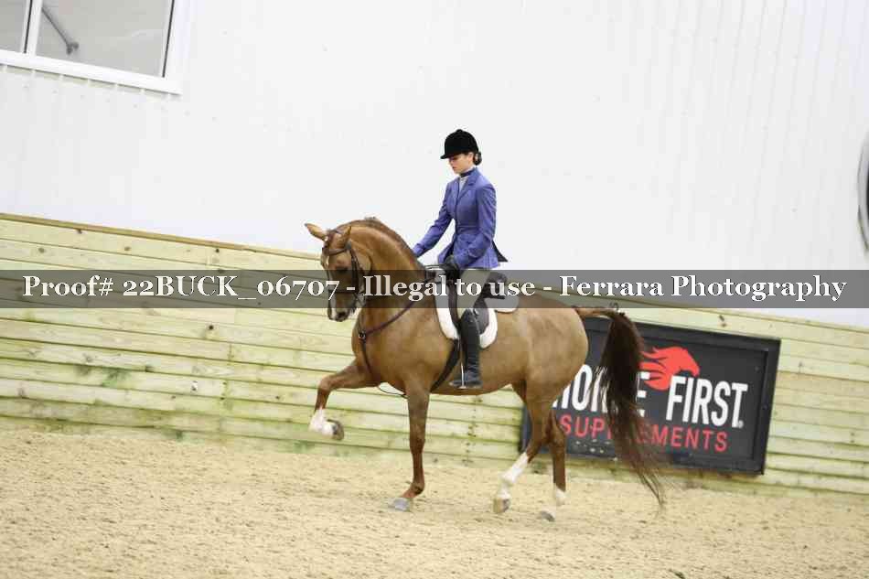 Proof 22BUCK_06707