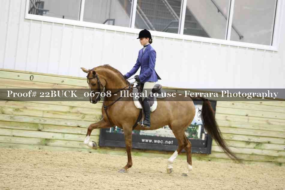 Proof 22BUCK_06708