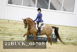 22BUCK_06708 proof