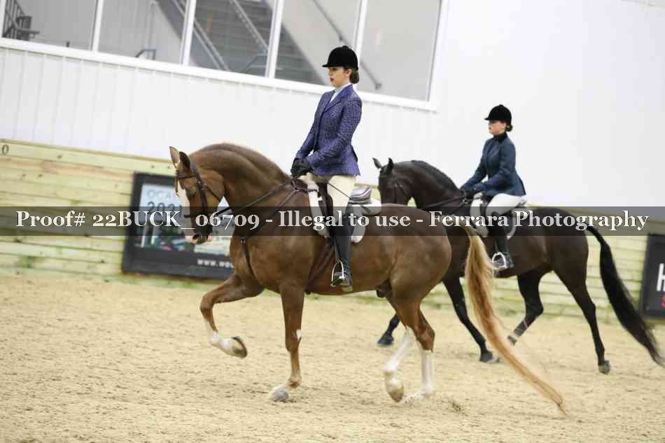 Proof 22BUCK_06709
