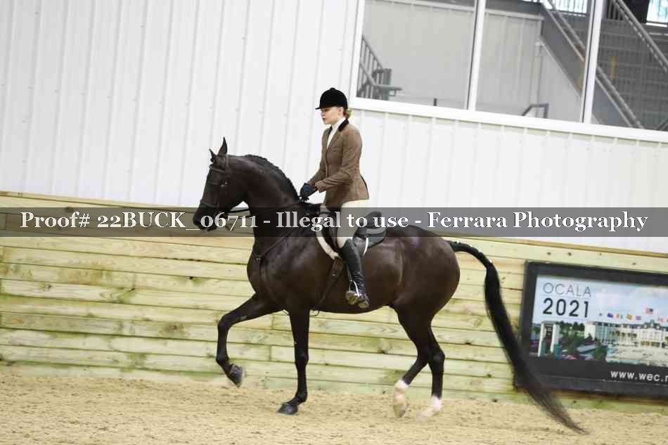 Proof 22BUCK_06711