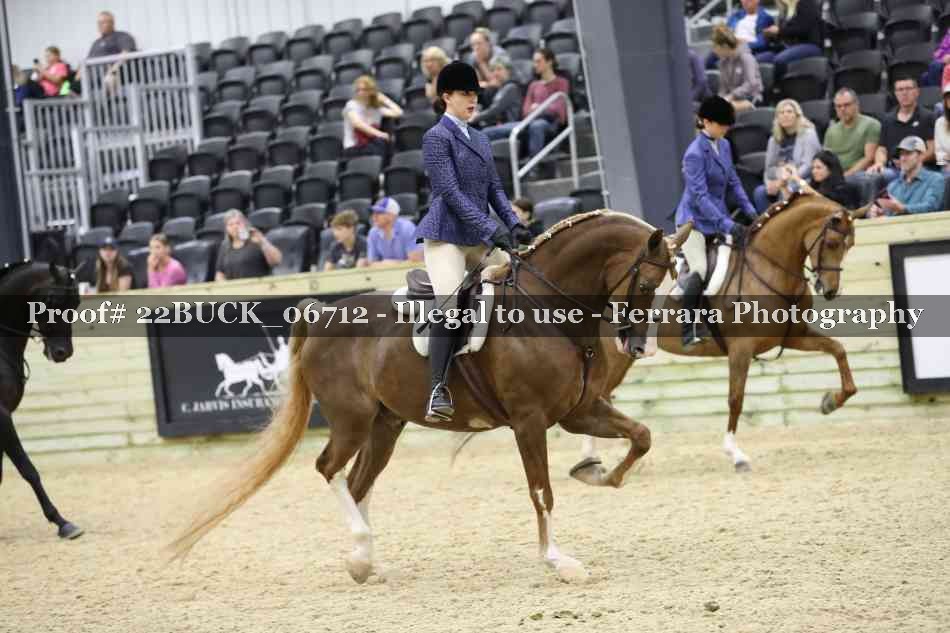 Proof 22BUCK_06712