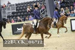 22BUCK_06712 proof