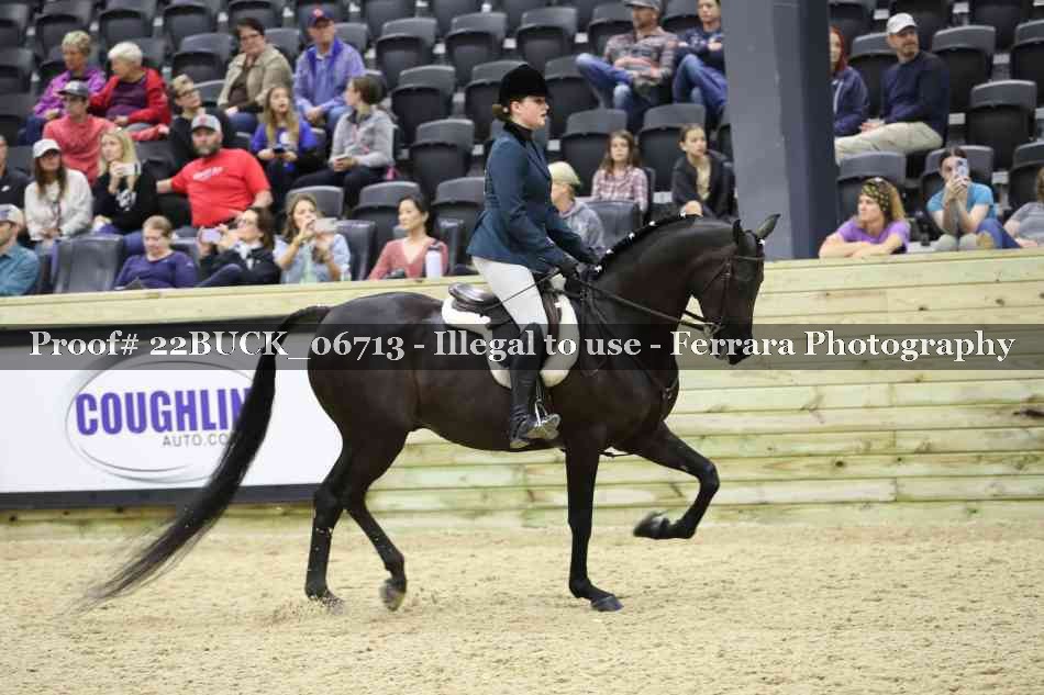 Proof 22BUCK_06713
