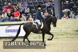 22BUCK_06713 proof
