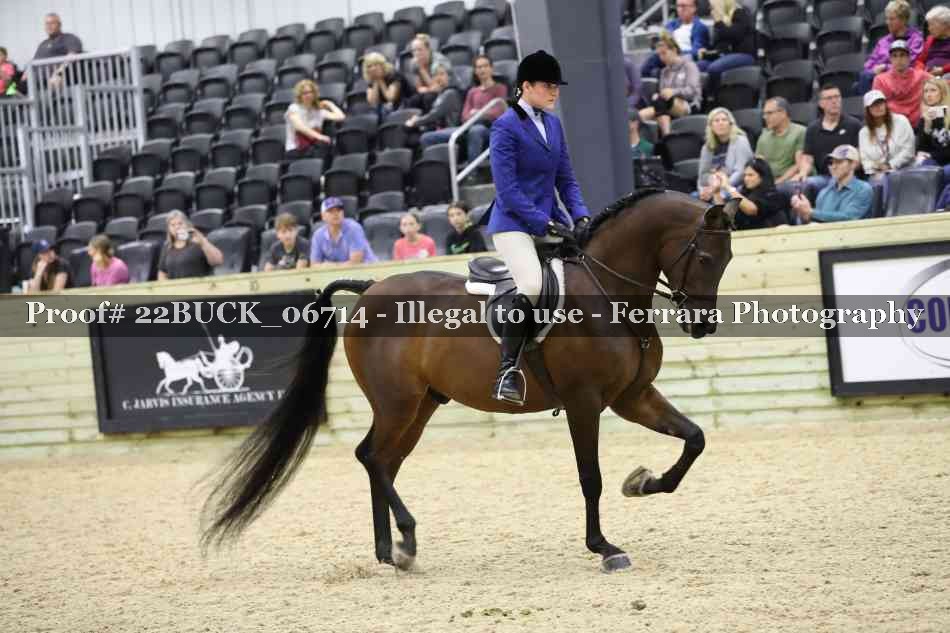 Proof 22BUCK_06714