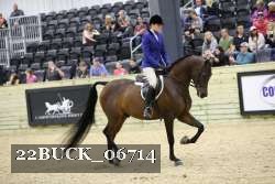 22BUCK_06714 proof