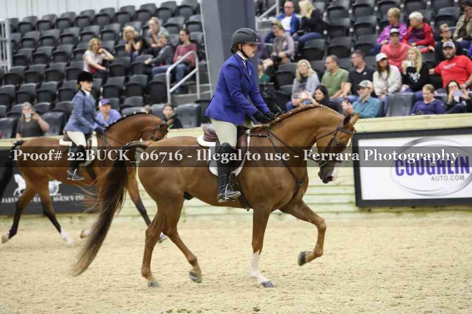 Proof 22BUCK_06716