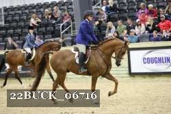 22BUCK_06716 proof