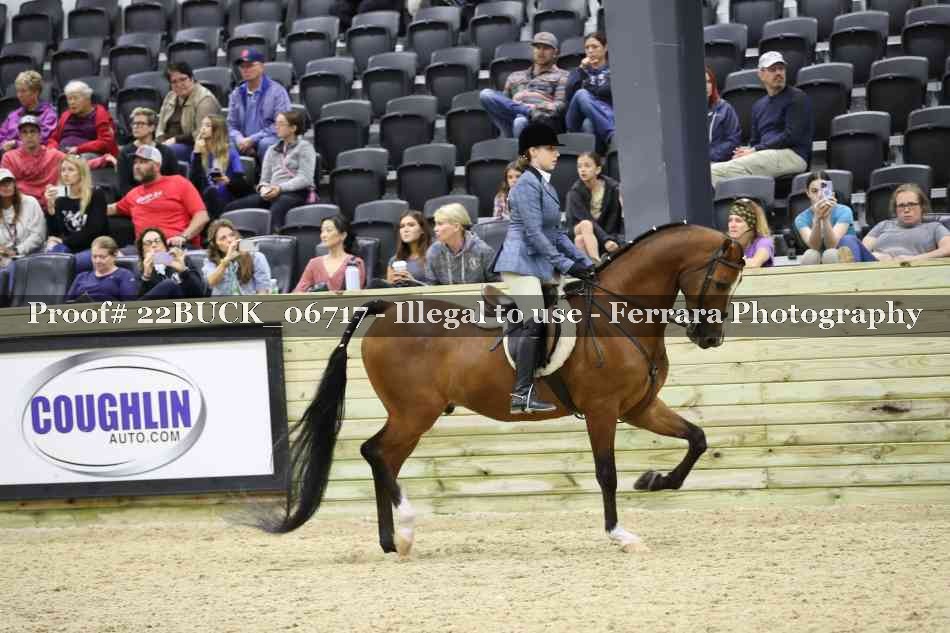 Proof 22BUCK_06717