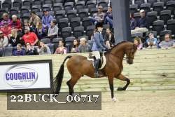 22BUCK_06717 proof