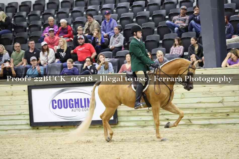 Proof 22BUCK_06718