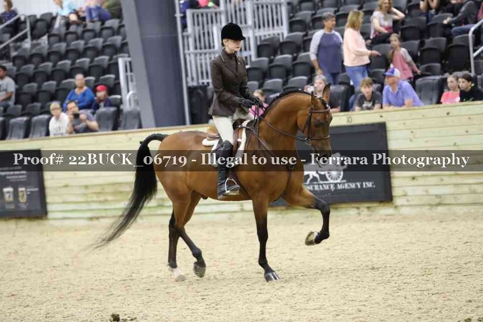 Proof 22BUCK_06719