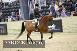 22BUCK_06719 proof