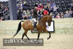 22BUCK_06720 proof