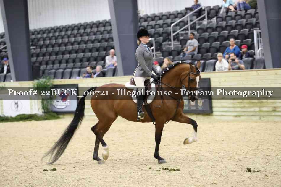 Proof 22BUCK_06721