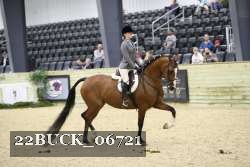 22BUCK_06721 proof