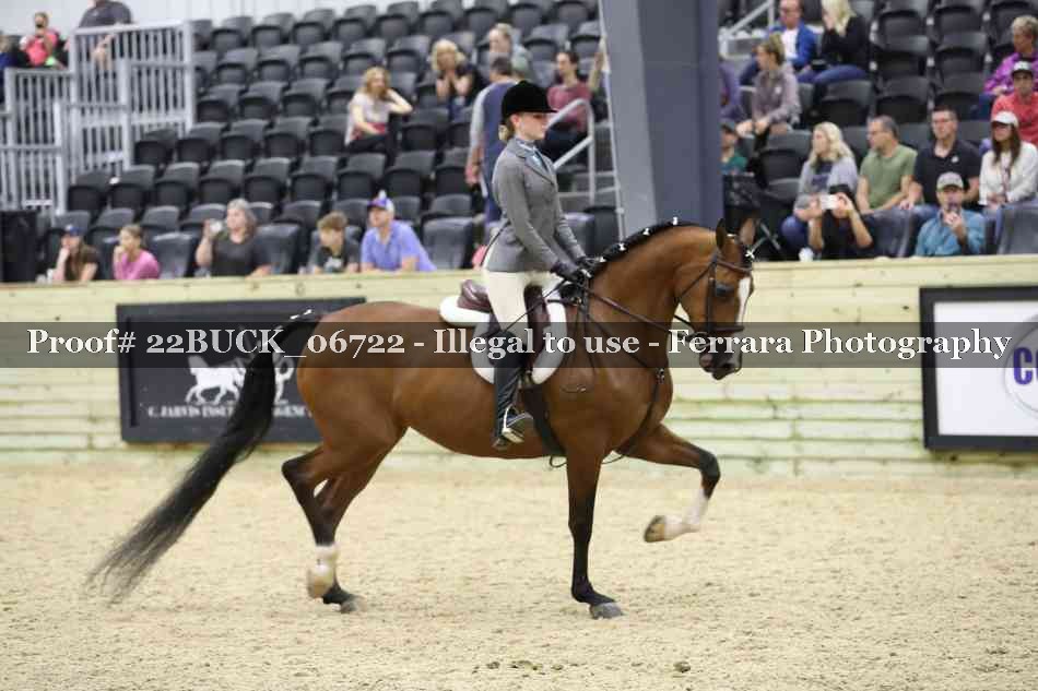 Proof 22BUCK_06722