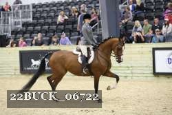 22BUCK_06722 proof