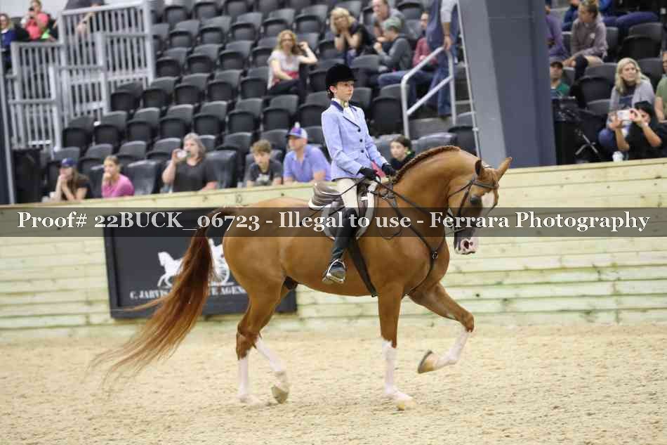 Proof 22BUCK_06723