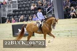 22BUCK_06723 proof