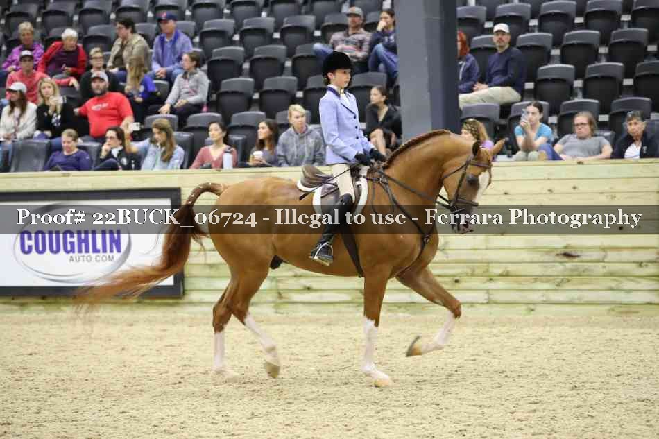 Proof 22BUCK_06724