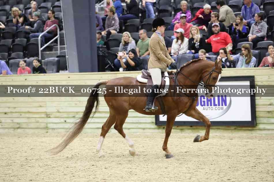 Proof 22BUCK_06725