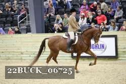 22BUCK_06725 proof