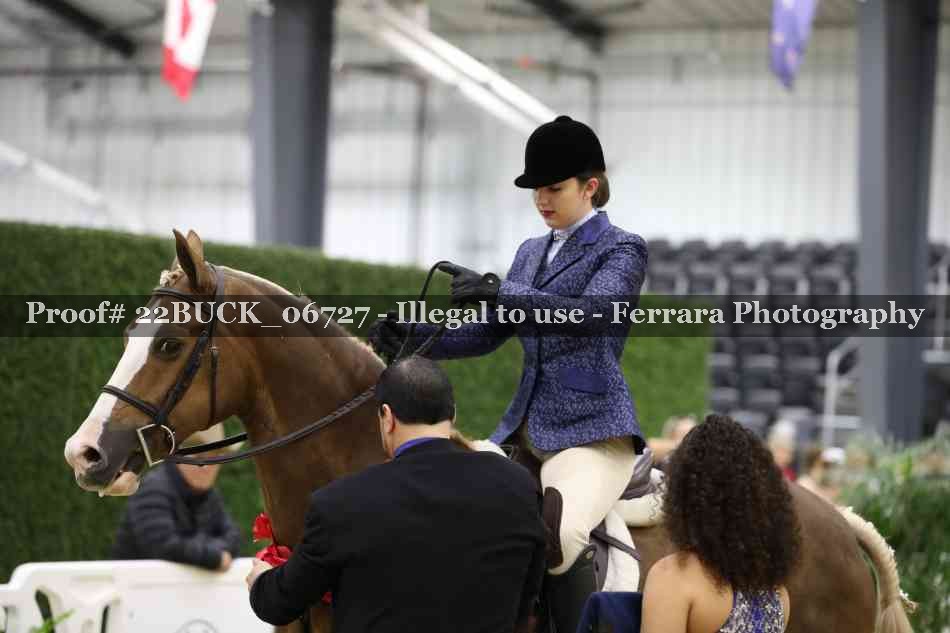 Proof 22BUCK_06727