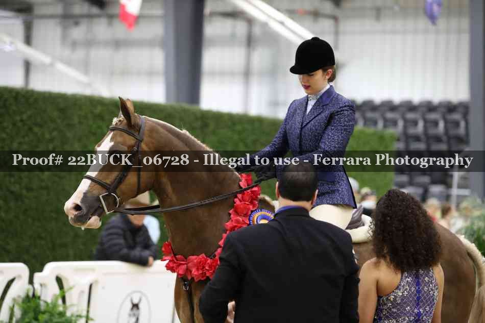 Proof 22BUCK_06728