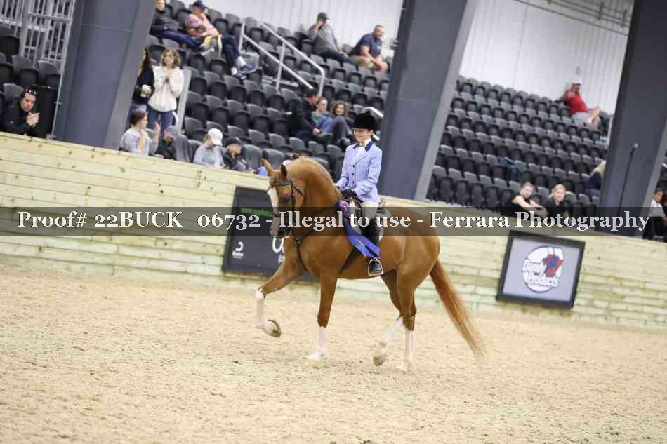 Proof 22BUCK_06732