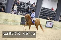 22BUCK_06732 proof